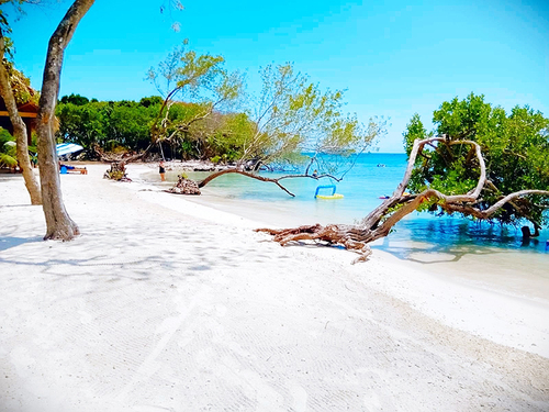 Roatan monkey Trip Prices